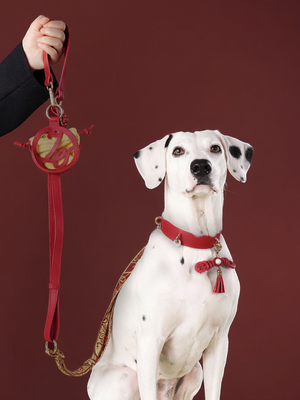LUMIWISH KNOT COLLAR CHARM