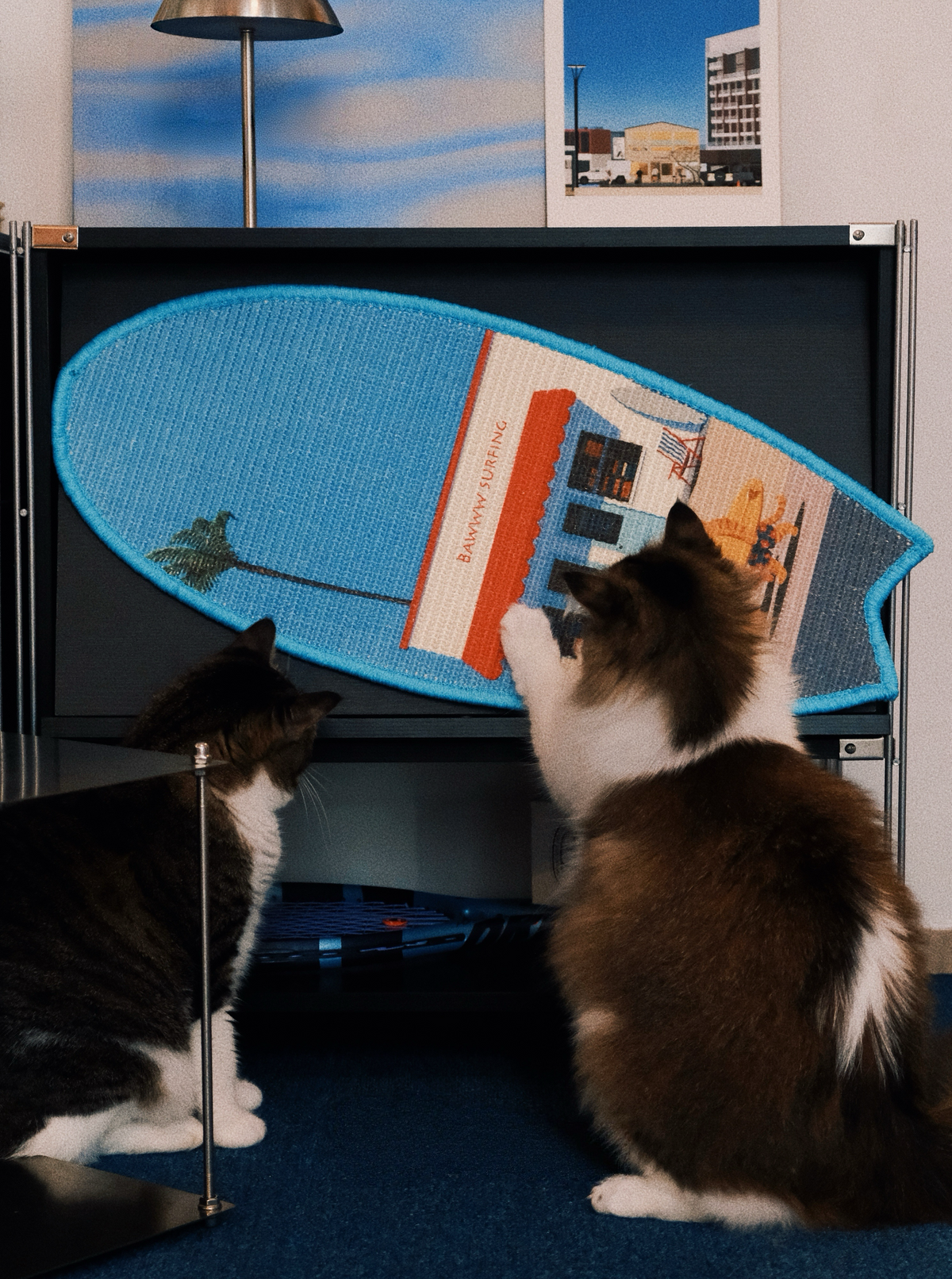 SURFBOARD CAT SCRATCHING MAT