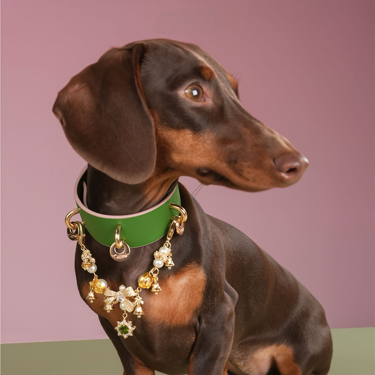 CHRISTMAS DREAM PET NECKLACE