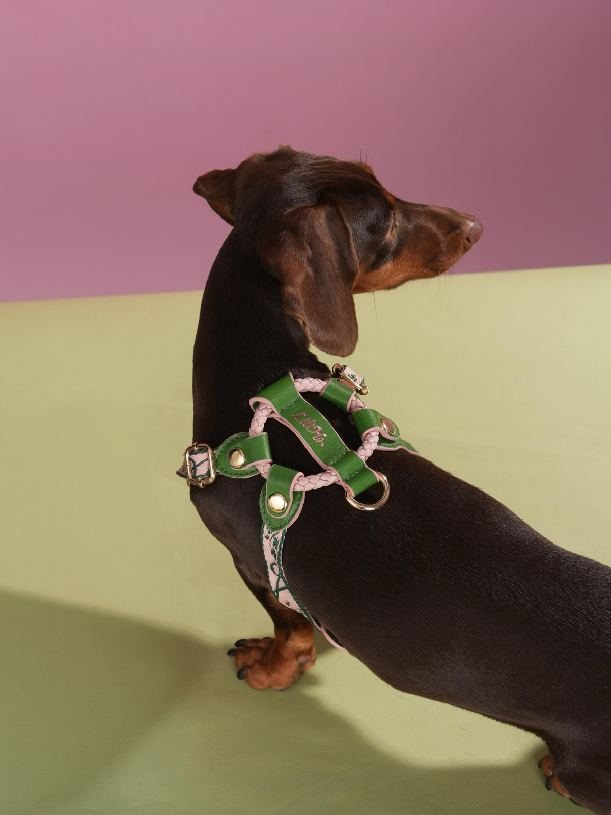 GREEN WONDERLAND LAMBSKIN PET HARNESS