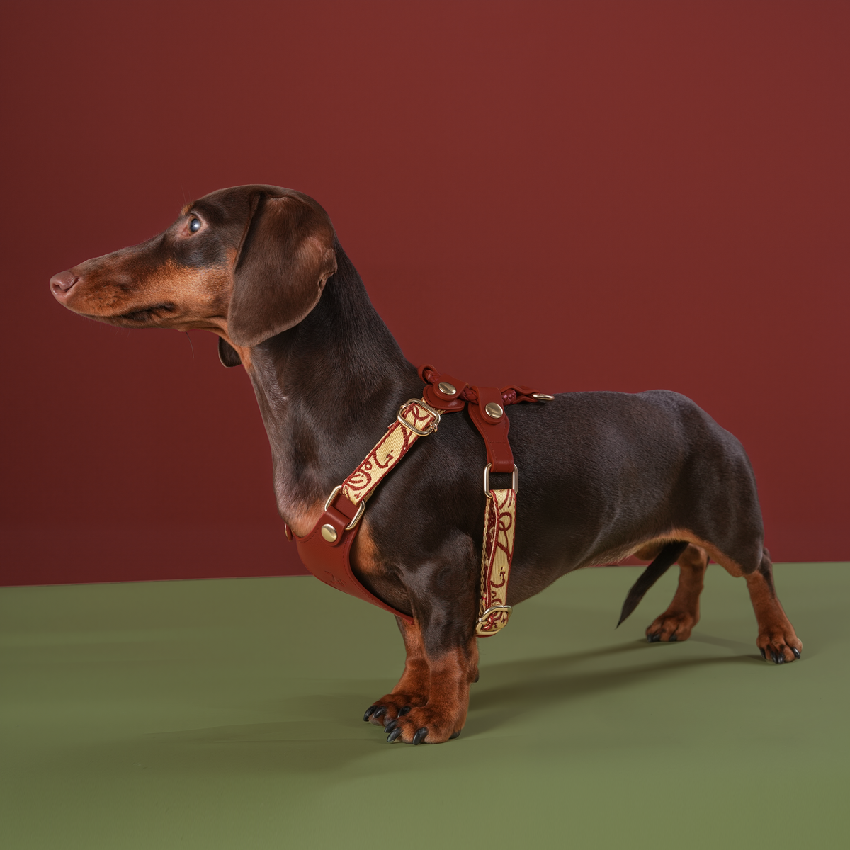LUMIWISH RED BROWN LAMBSKIN PET HARNESS