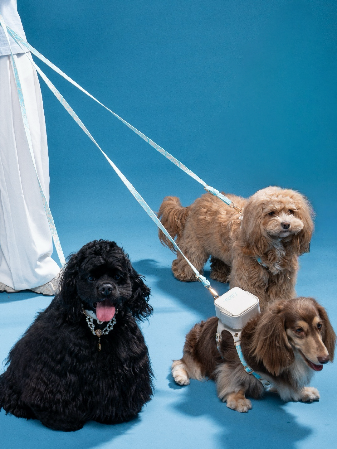 SAINT ISLAND LEATHER PET LEASH
