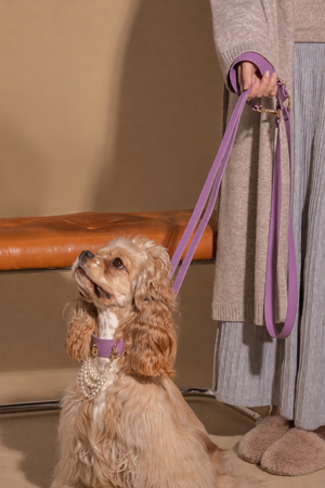 LAVANDER GLOW LEATHER PET LEASH