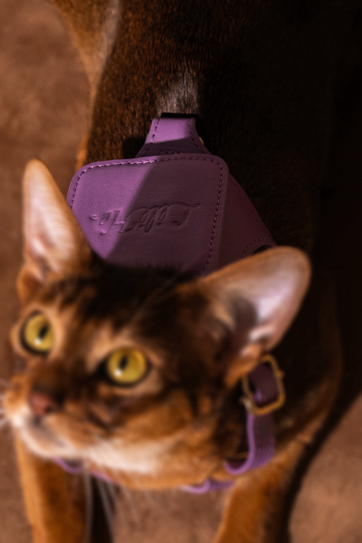 LAVANDER GLOW LEATHER PET HARNESS