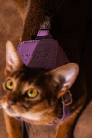 LAVANDER GLOW LEATHER PET HARNESS