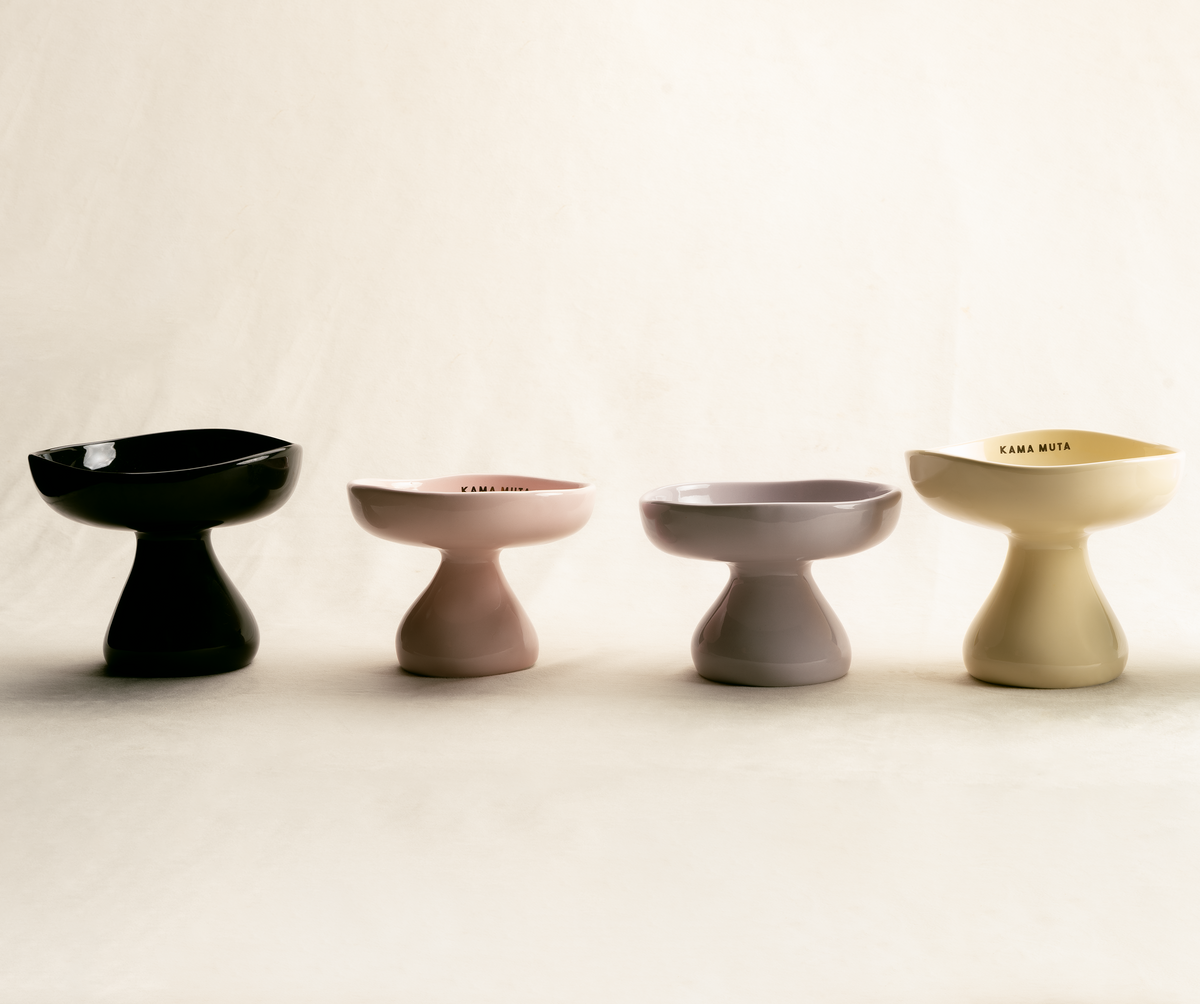 MONOCHROME CERAMIC ELEVATED PET BOWL