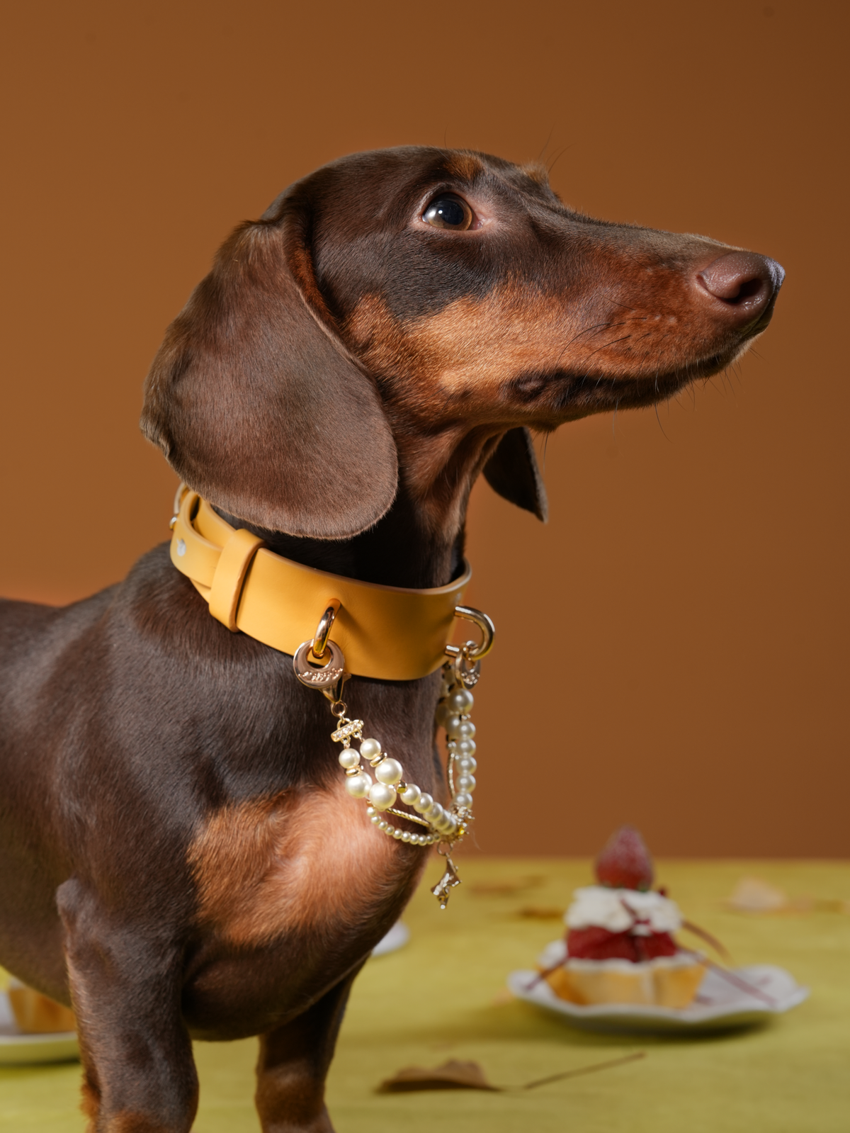 GLOW MAPLE PET NECKLACE