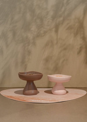 PASTEL CERAMIC ELEVATED PET BOWL