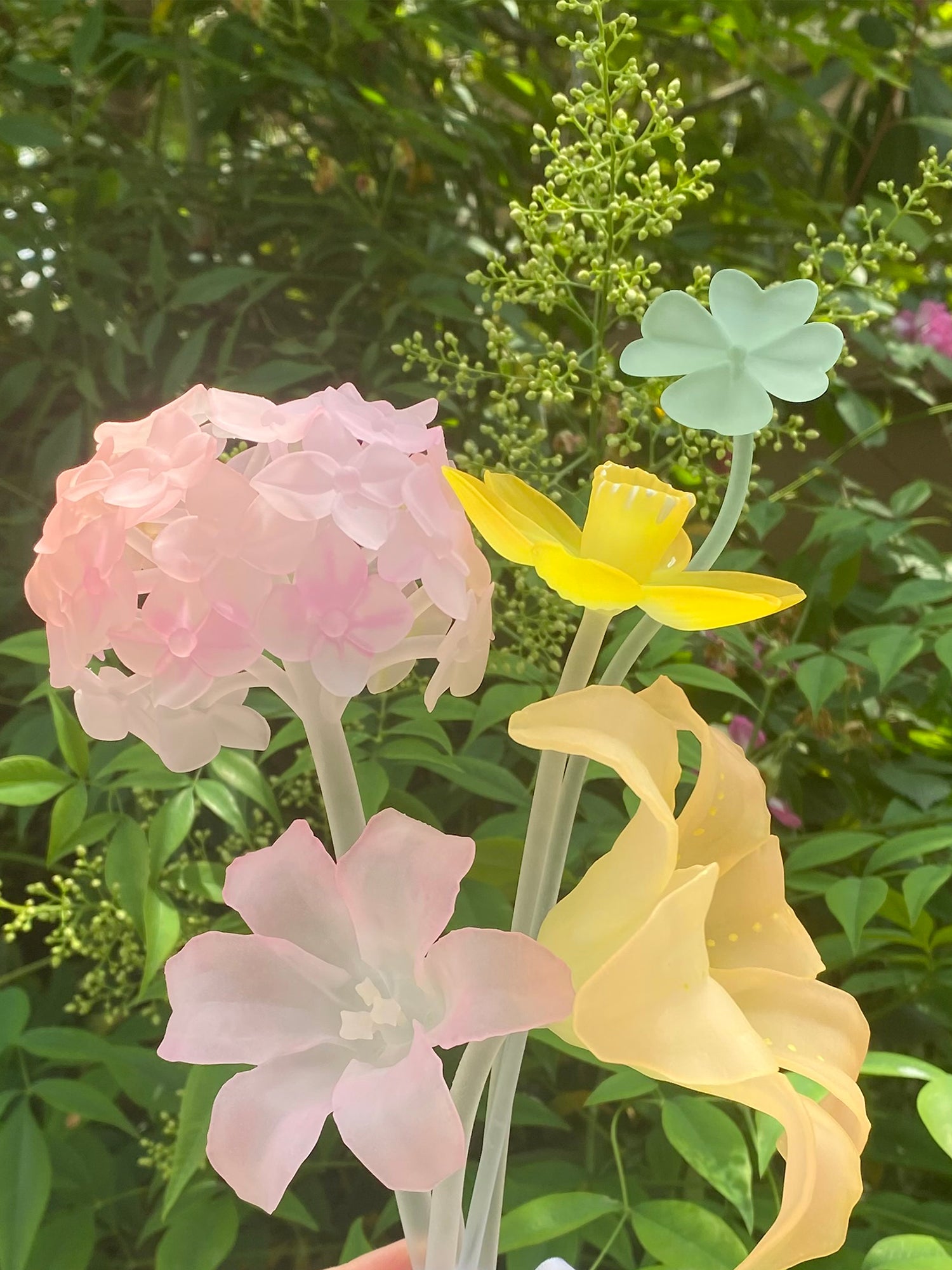 HYDRANGEA STEM