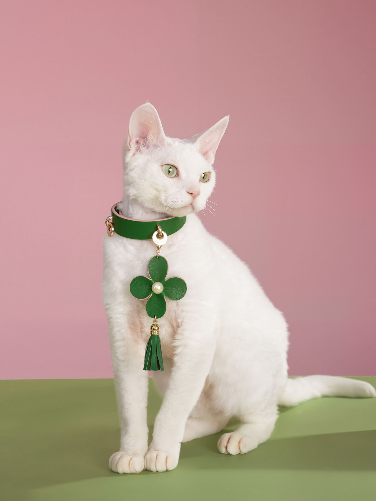 GREEN WONDERLAND LAMBSKIN PET COLLAR