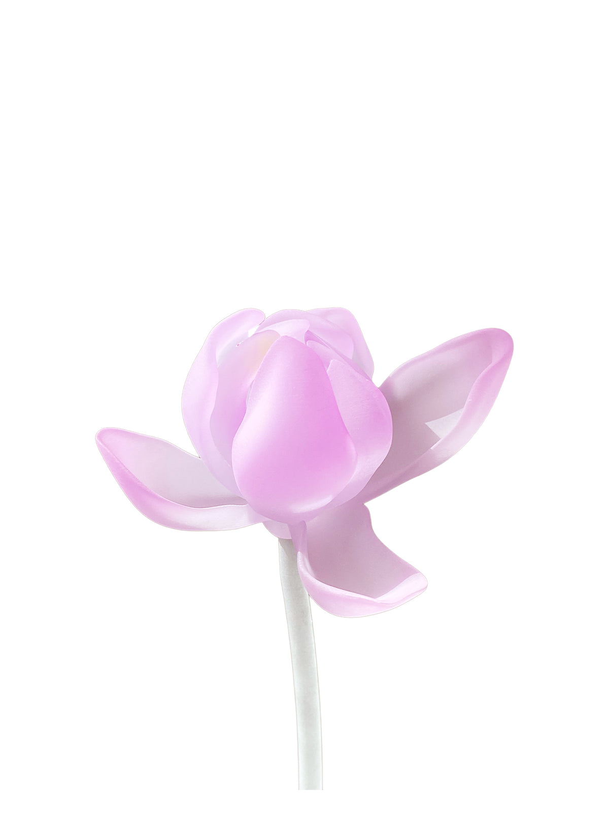 livarié flower LOTUS BUD STEM  |  TROVE & TONE
