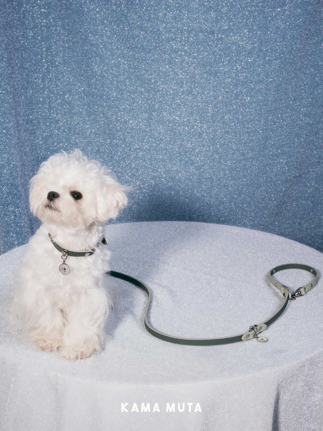 CONVERTIBLE LEATHER DOG LEASH