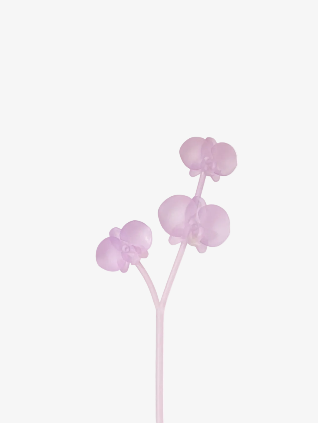 livarié flower ORCHID STEM LARGE  |  TROVE & TONE