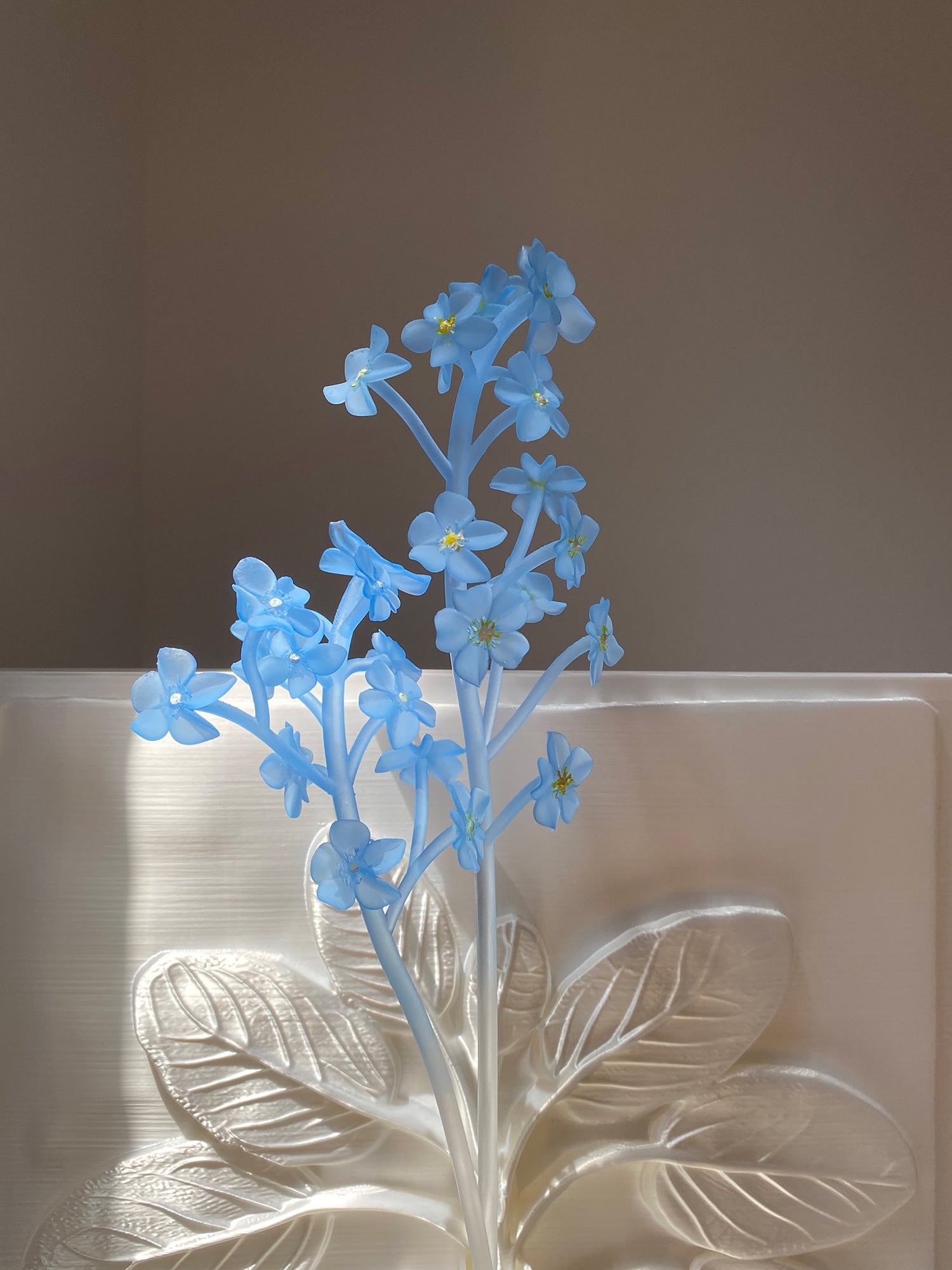 FORGET-ME-NOT STEM