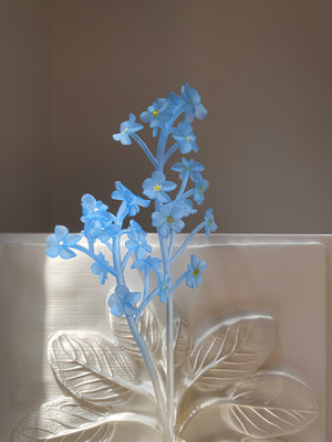 FORGET-ME-NOT STEM