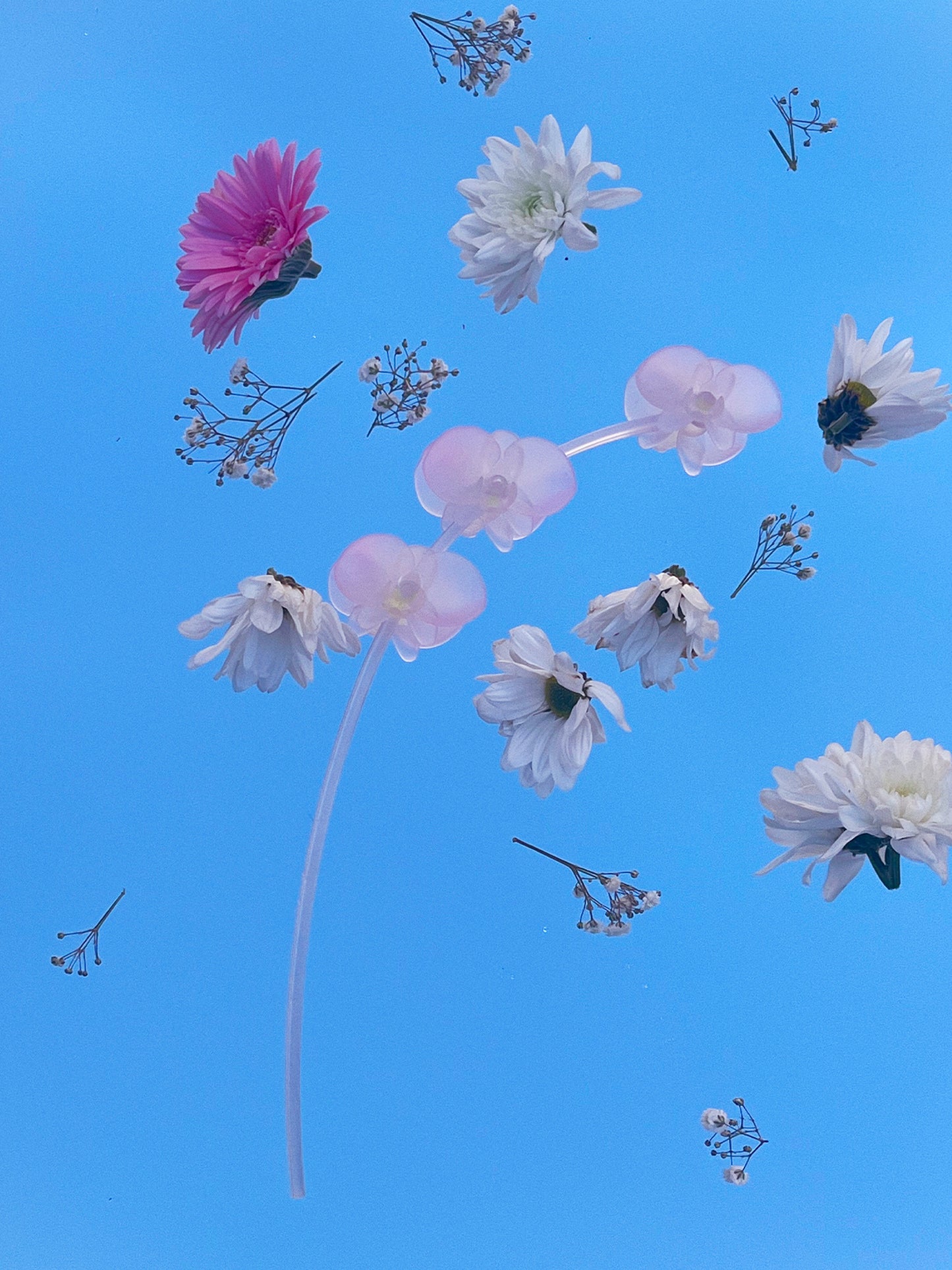livarié flower ORCHID STEM PURPLE  |  TROVE & TONE