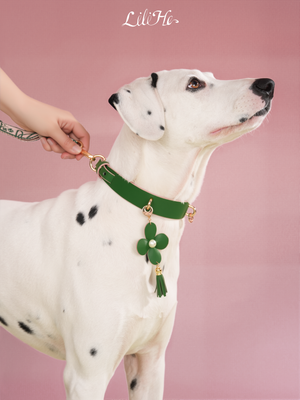 GREEN WONDERLAND LAMBSKIN PET COLLAR