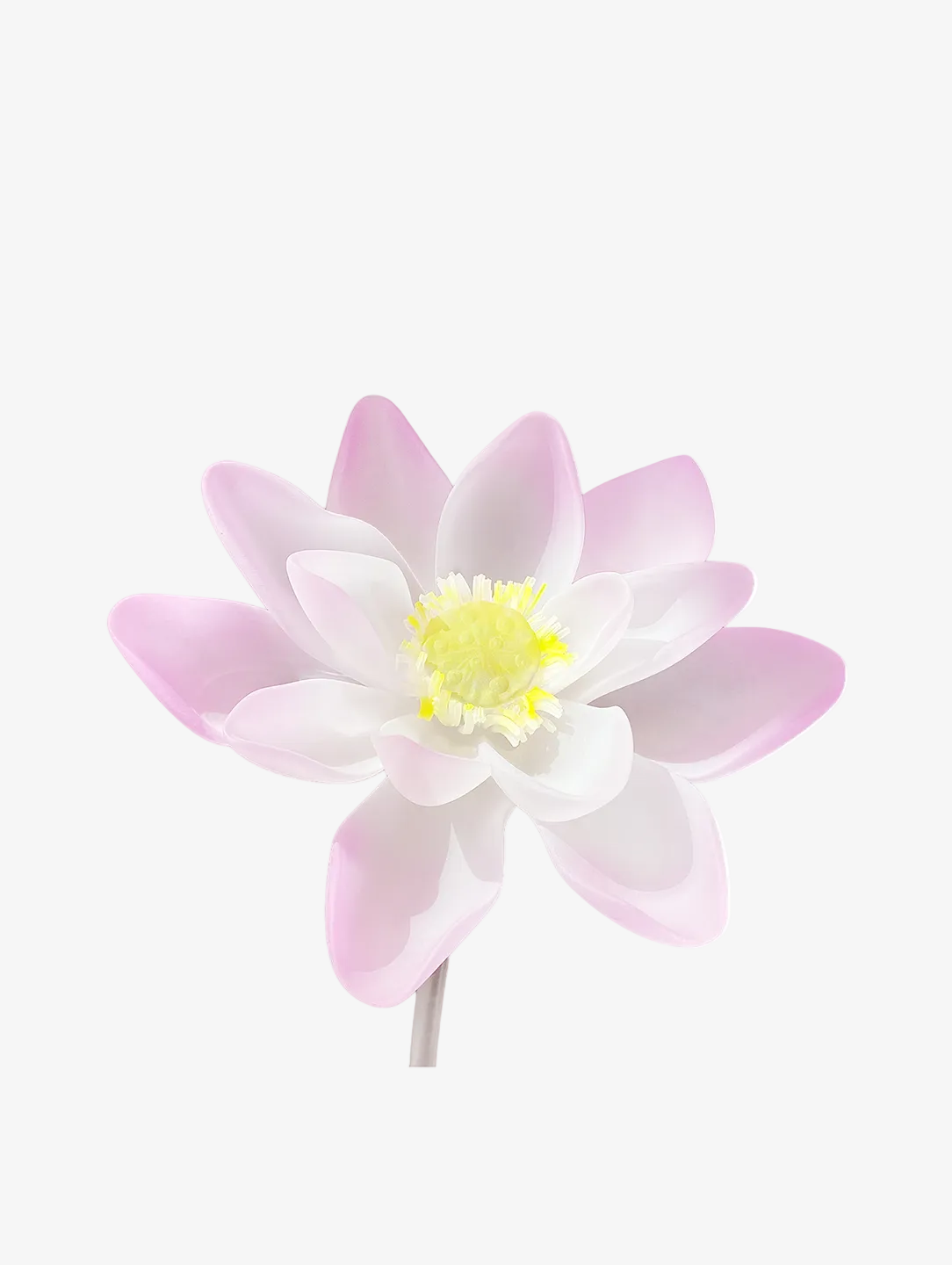 livarié flower LOTUS STEM  |  TROVE & TONE