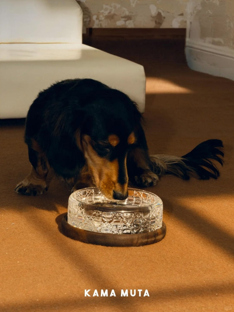 CRYSTAL PET BOWL