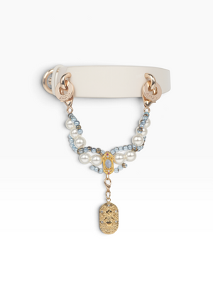 ZODIAC SIGNS PET NECKLACE