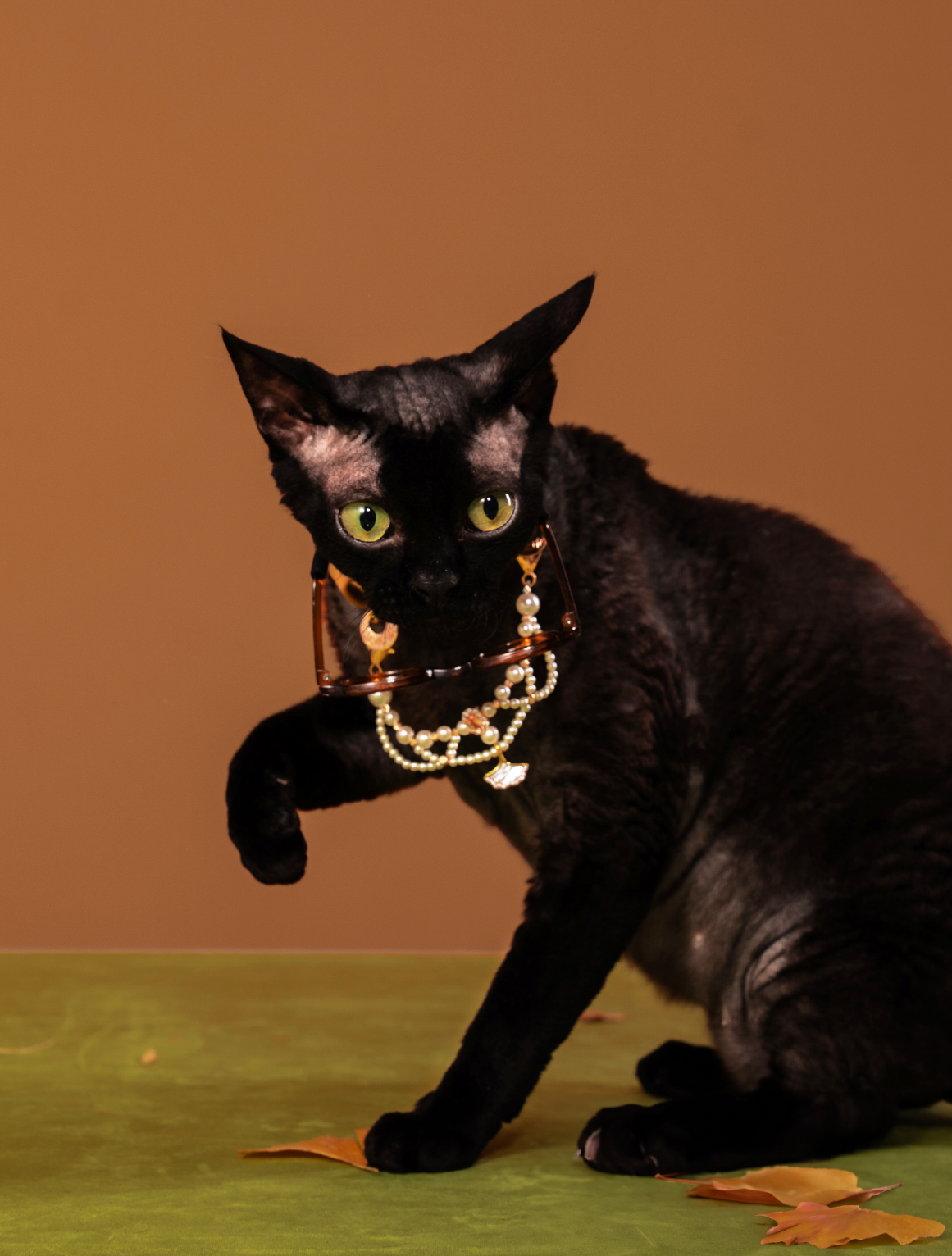 GLOW MAPLE PET NECKLACE