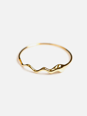 CONTROL POINTS LIQUID METAL TWIST RING  |  TROVE & TONE