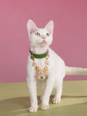 CHRISTMAS DREAM PET NECKLACE