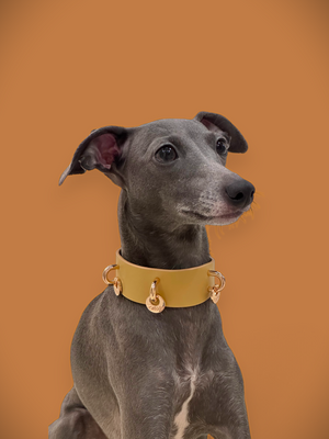 NORDIC AUTUMN LEATHER PET COLLAR