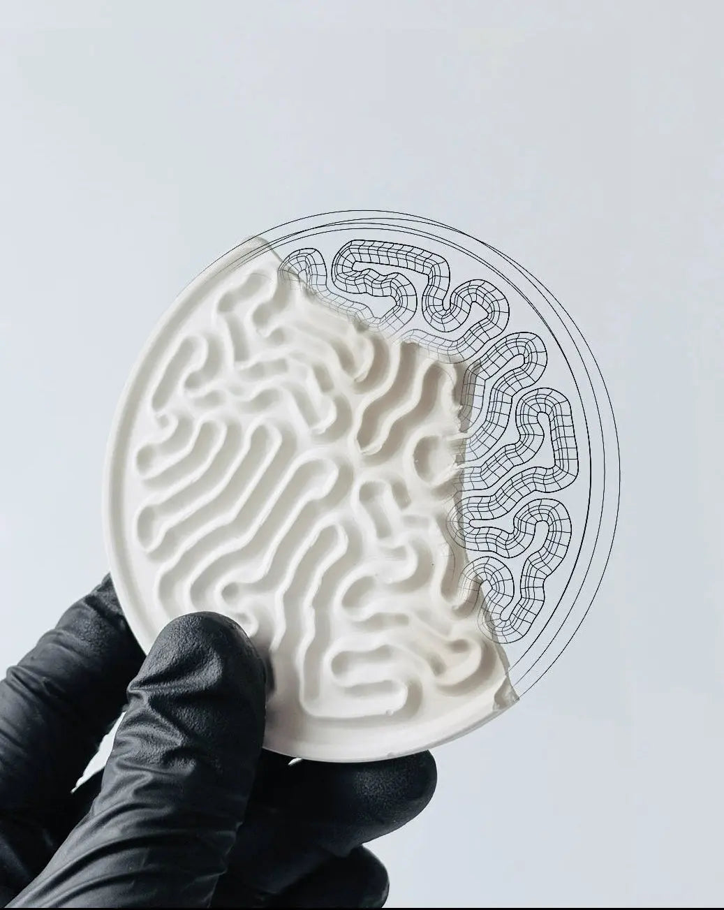  StudioRan CORAL 02 ROUND CERAMIC COASTERS |  TROVE & TONE