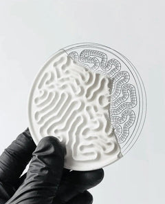  StudioRan CORAL 02 ROUND CERAMIC COASTERS |  TROVE & TONE