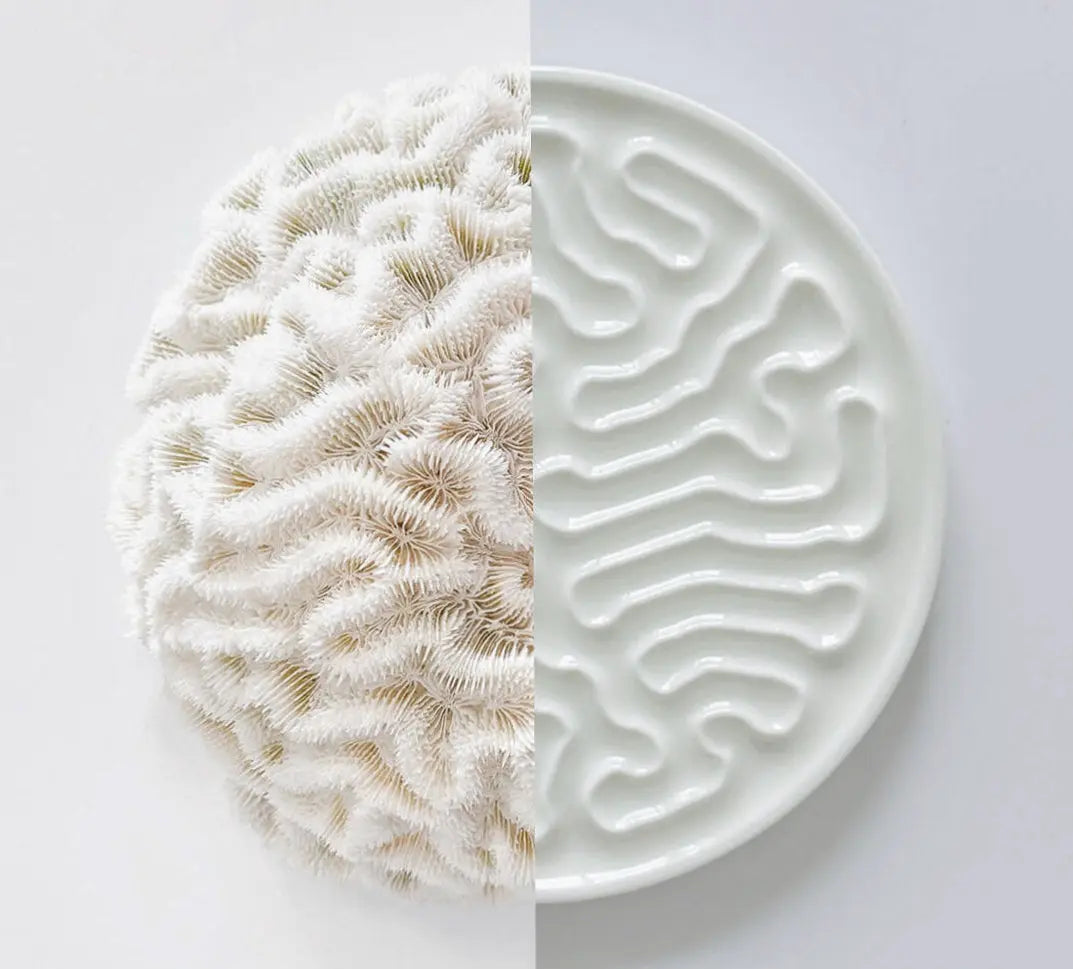  StudioRan CORAL 02 ROUND CERAMIC COASTERS |  TROVE & TONE