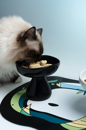 MONOCHROME CERAMIC ELEVATED PET BOWL