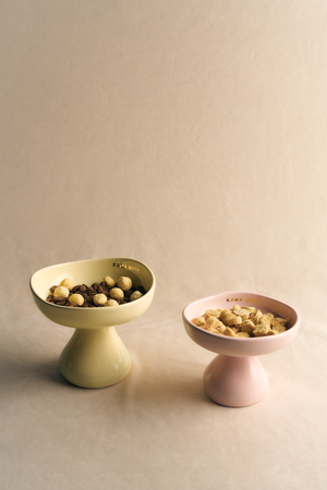 PASTEL CERAMIC ELEVATED PET BOWL