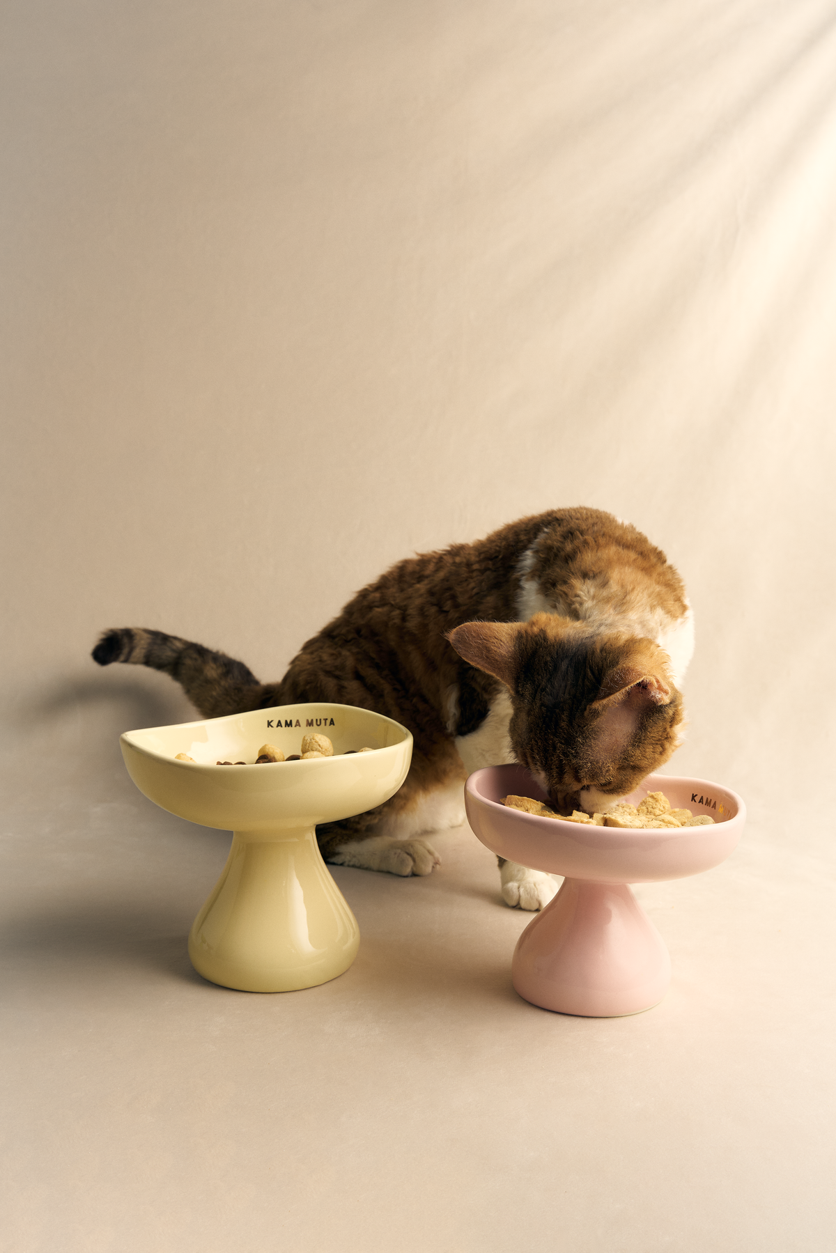 PASTEL CERAMIC ELEVATED PET BOWL