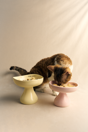 PASTEL CERAMIC ELEVATED PET BOWL