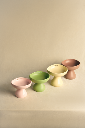 PASTEL CERAMIC ELEVATED PET BOWL