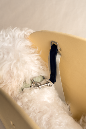 CLASSIC PET TOTE BAG