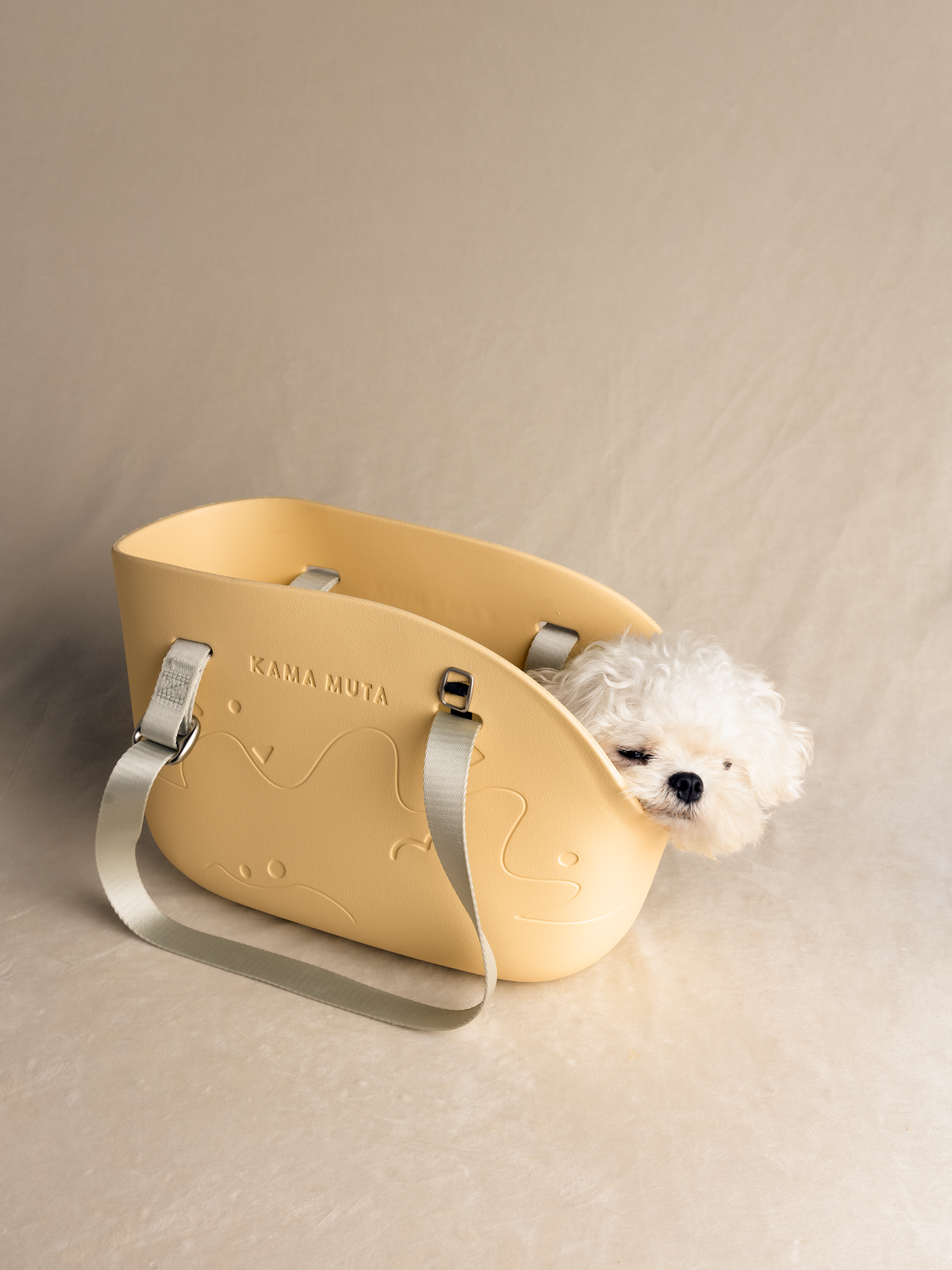 MINI CLASSIC PET TOTE BAG
