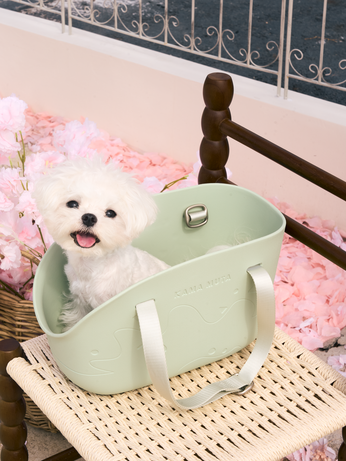MINI CLASSIC PET TOTE BAG