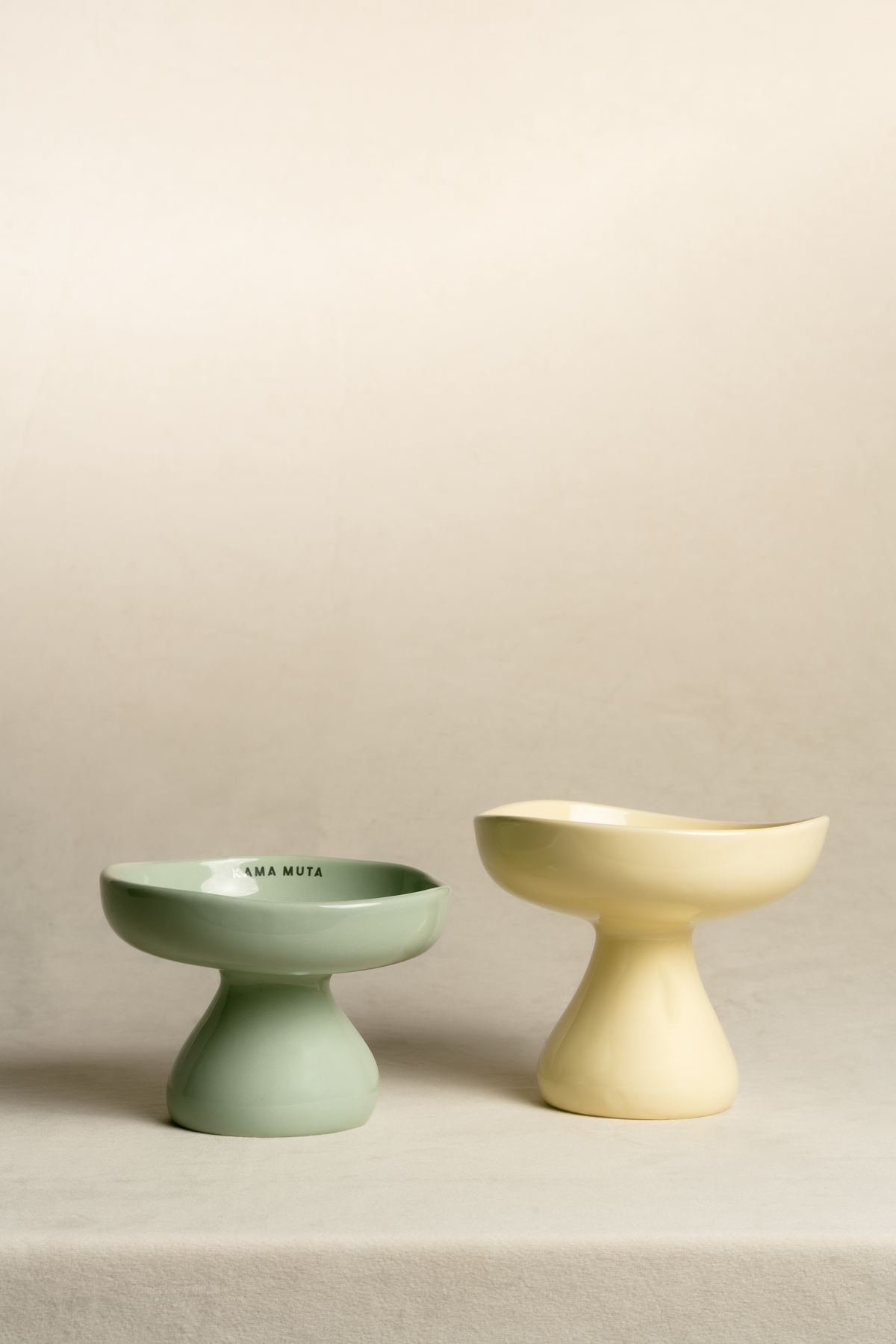 PASTEL CERAMIC ELEVATED PET BOWL