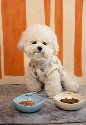 MINI CURVED CERAMIC PET BOWL