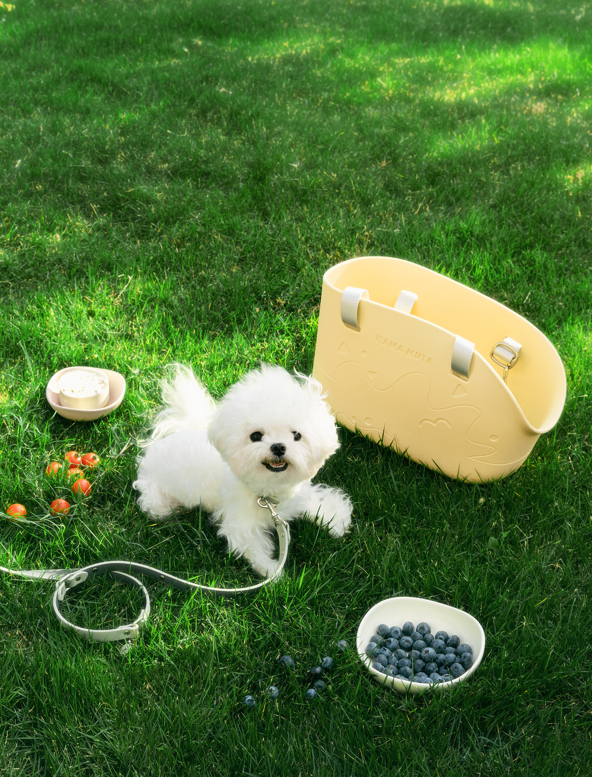 CLASSIC PET TOTE BAG