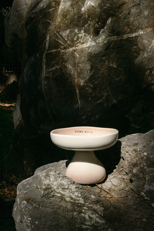 OMBRÉ CERAMIC ELEVATED PET BOWL