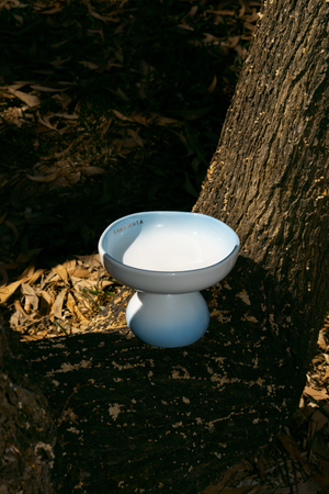 OMBRÉ CERAMIC ELEVATED PET BOWL