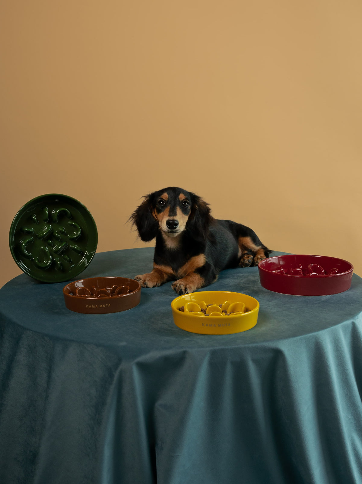 CERAMIC SLOW FEEDER DOG BOWL · BONE