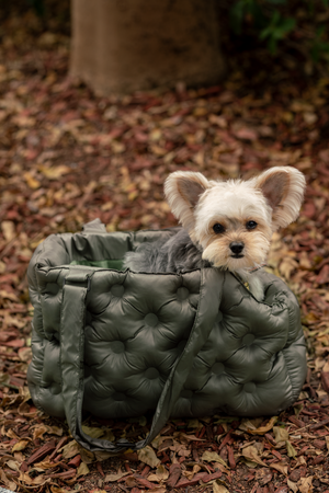 AIRY PUFFER PET CARRIER BAG
