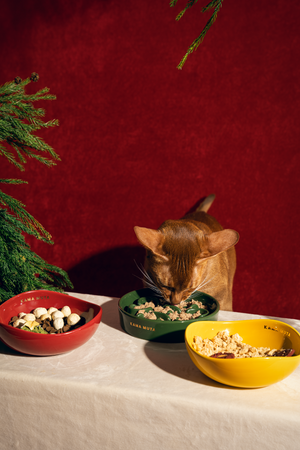 CURVED CERAMIC PET BOWL