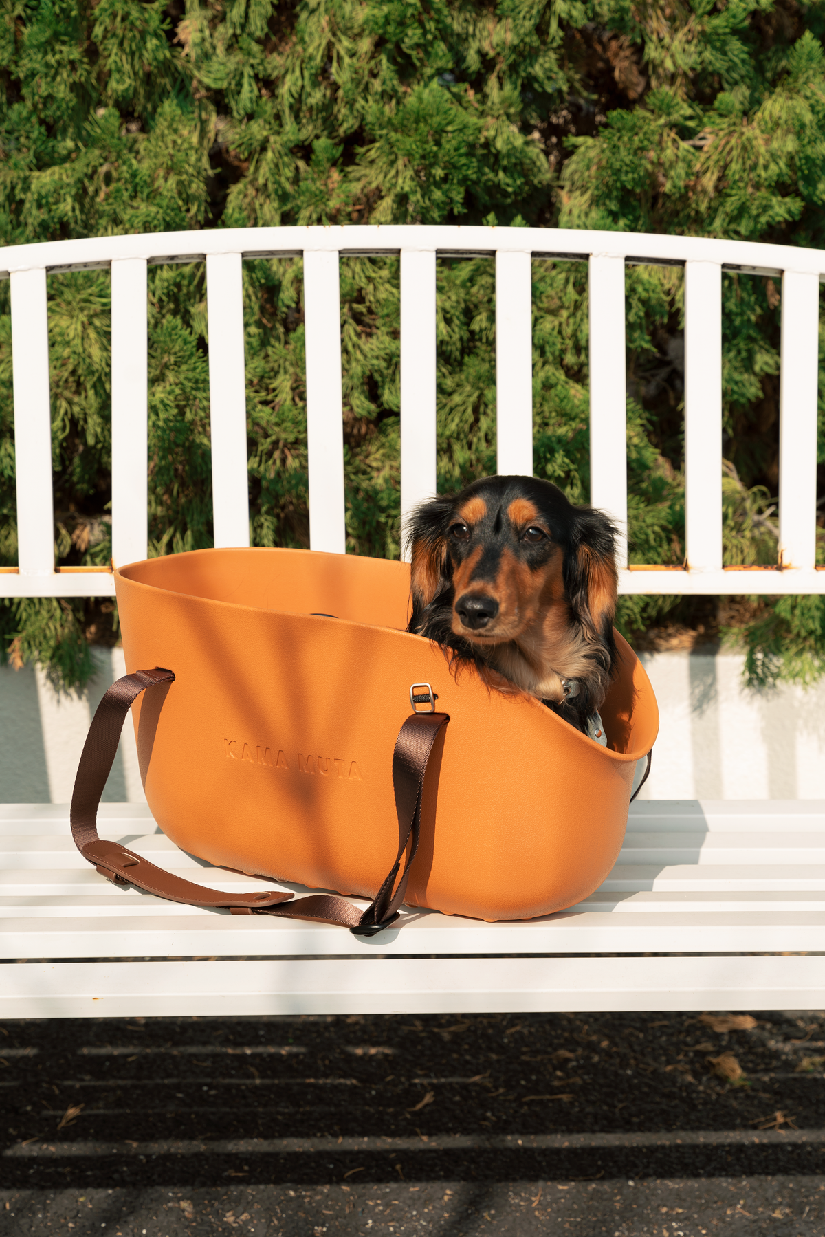 PLUS CLASSIC PET TOTE BAG