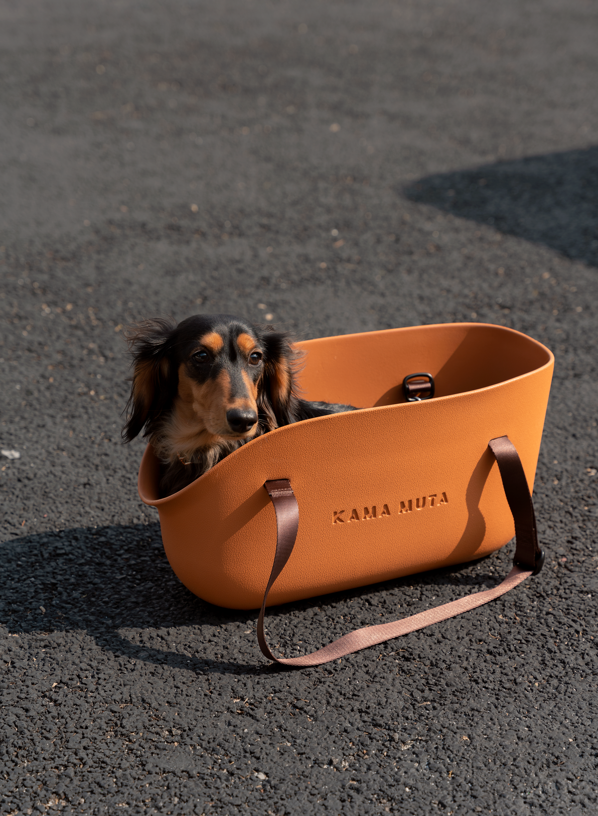 PLUS CLASSIC PET TOTE BAG