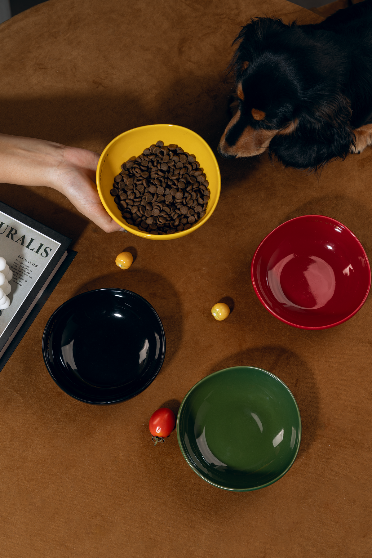 CURVED CERAMIC PET BOWL